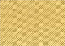 C4 CARTAGINESIS1 AMARILLO