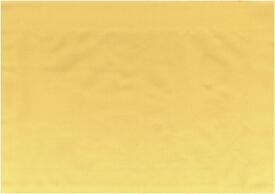 C4 GALLAETICA1 AMARILLO