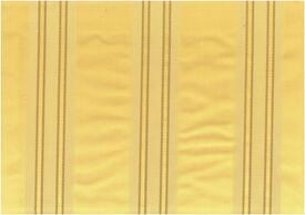 C4 LUSITANIA1 AMARILLO