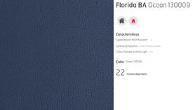 C6 LEATHER FLORIDA OCEAN