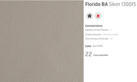 C6 LEATHER FLORIDA SILVER