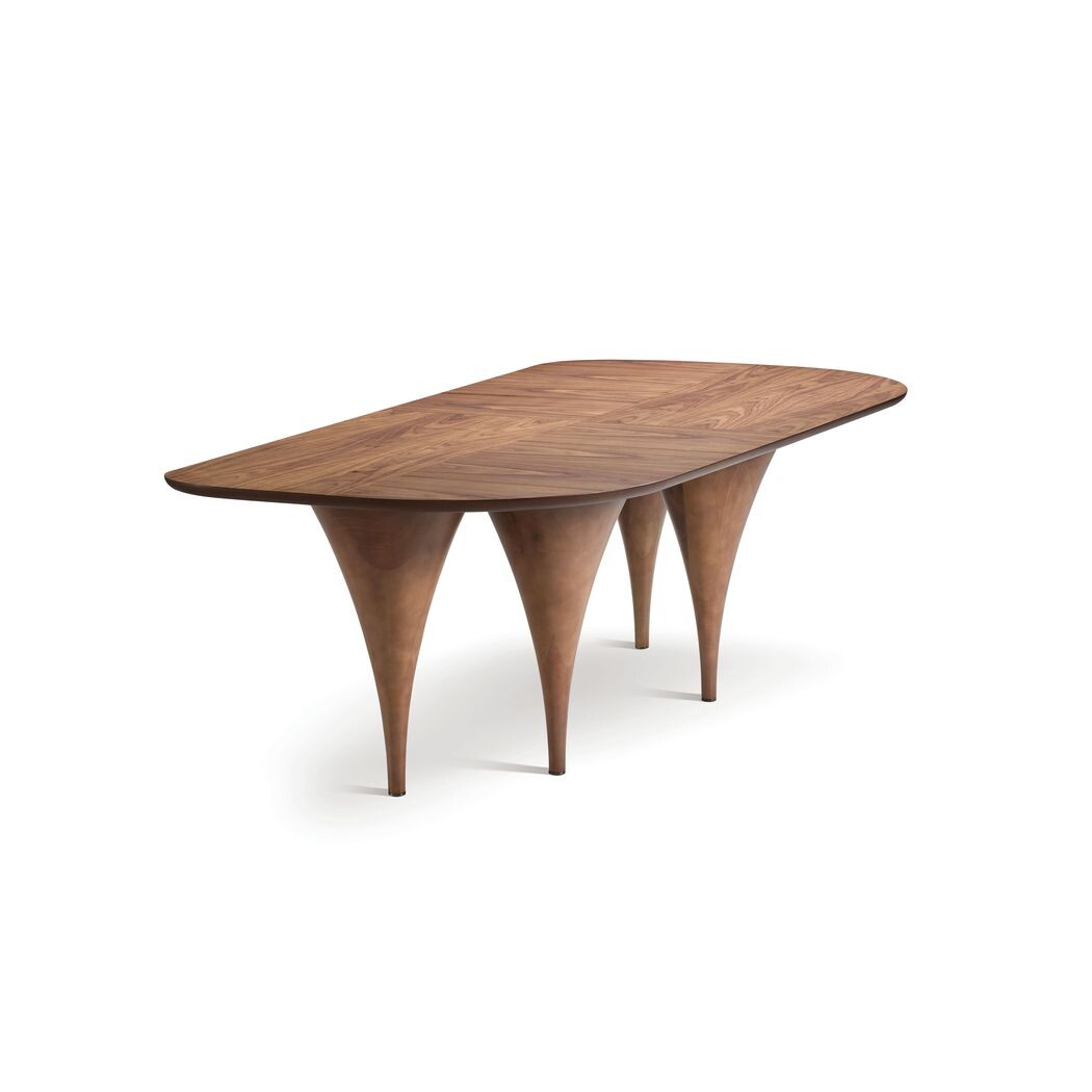 TABLE (Fixed organic-shaped top)