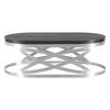 OVAL COCKTAIL TABLE_image