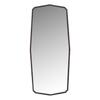 MIRROR_image
