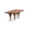 TABLE (Fixed organic-shaped top)_image