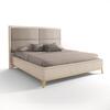 UPHOLSTERED QUEEN SIZE BED_image
